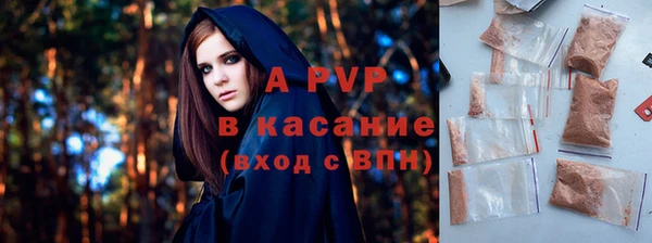 шишки Богданович