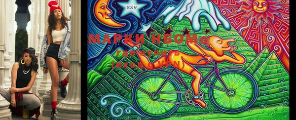 шишки Богданович