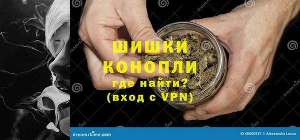 дурь Богородицк