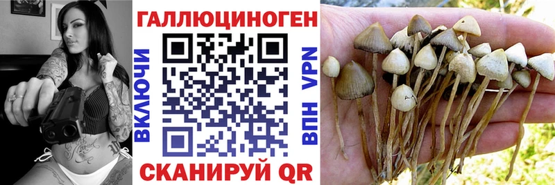 Псилоцибиновые грибы мухоморы  Ижевск 